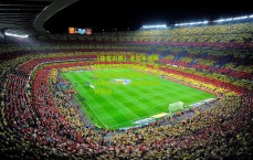 【体育彩票】卓尔半场两球落后上演绝地反击，关键先生登场扭转乾坤；合约期满在即，未来携手值得期待