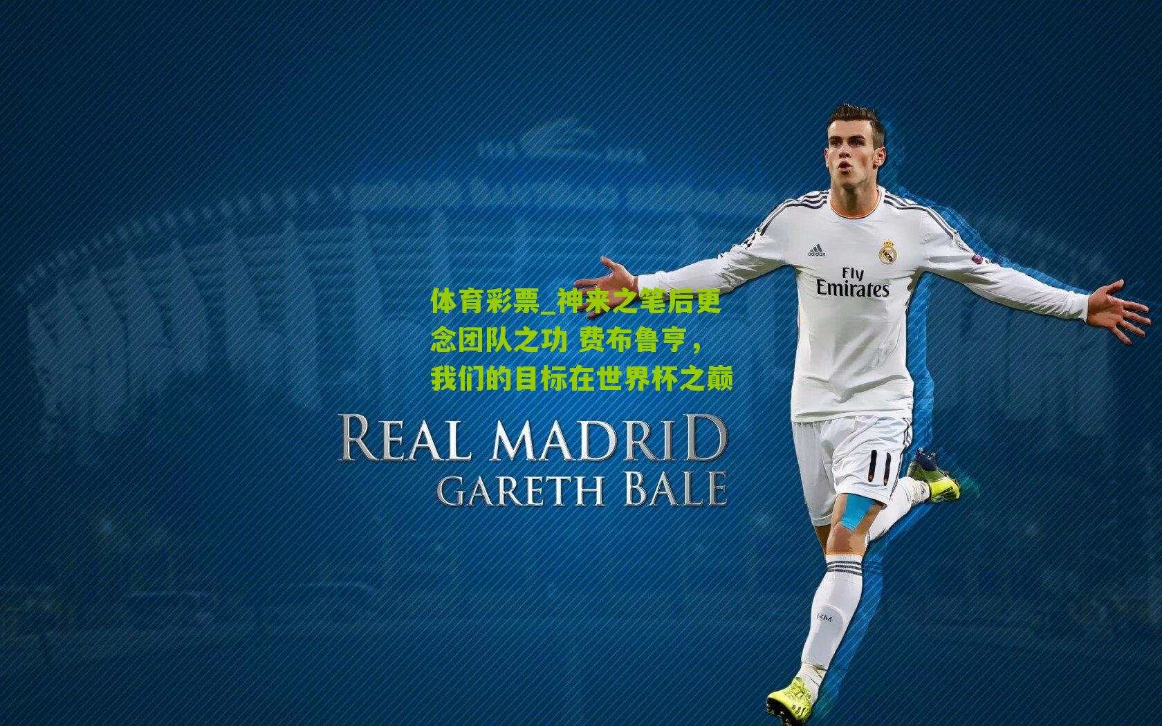 神来之笔后更念团队之功 费布鲁亨，我们的目标在世界杯之巅