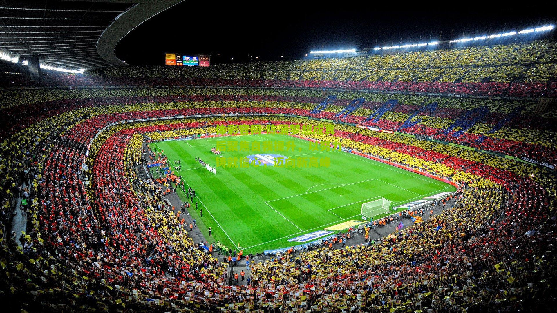 陈蒲梦想成真后聚焦自我提升，以努力铸就信心，迈向新高峰